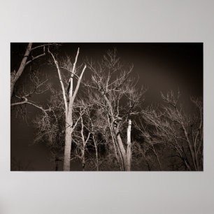 Affiche Forêt sombre – Art d'arbre en noir et blanc hantan