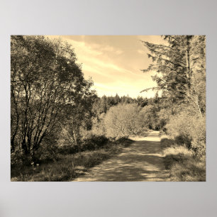 Affiche Forêt sur le sentier de randonnée Jour merveilleux