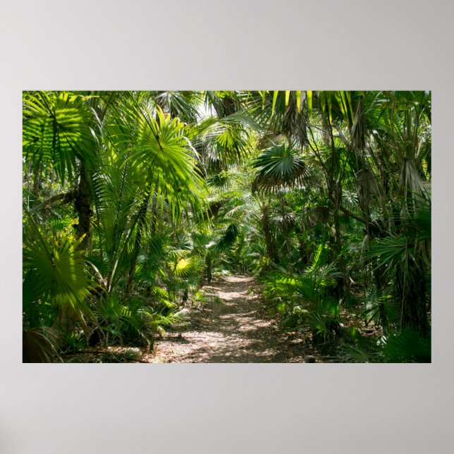 Affiche Forêt | Tropical Rainforest Tulum Mexique (Devant)