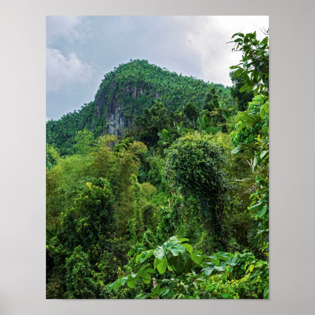 Affiche Forêt tropicale luxuriante et pic El Yunque (Devant)