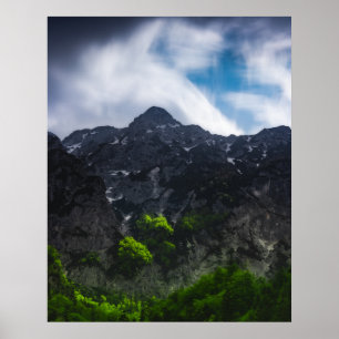 Affiche Forêt verte éclairée par le soleil sous les montag