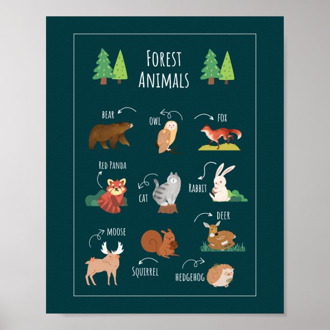 Affiche Forêts Animaux Formation scolaire (Devant)