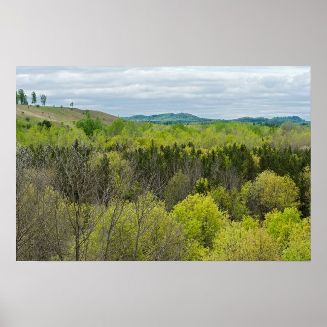 Affiche Forêts et collines de Black River Falls Wisconsin (Devant)