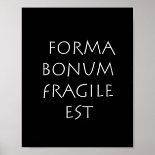 Affiche Forma bonum fragile