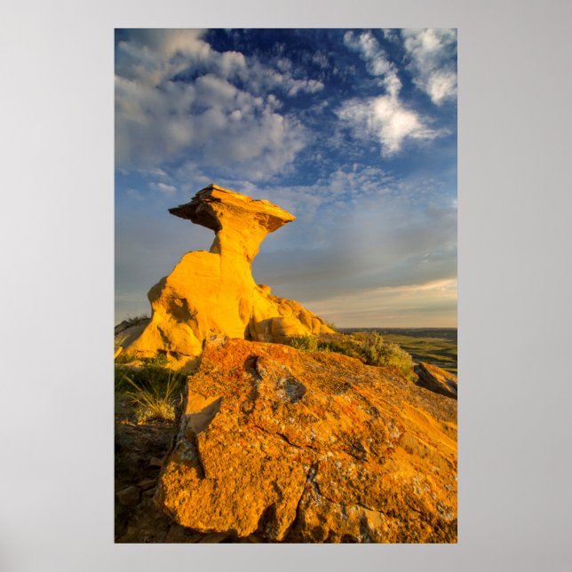 Affiche Formation De Badlands Sculptés En Herbe Courte (Devant)