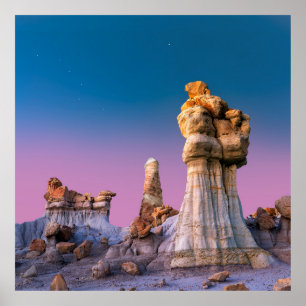 AFFICHE FORMATION DE ROCHE BROWN