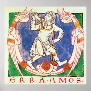 Affiche Forme de deux créatures ailées avec entrelacs