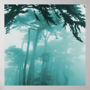 Affiche Forrest Fog peinture photo
