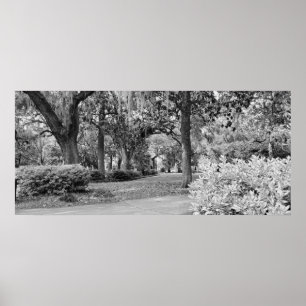 Affiche Forsyth Park, Savannah Ga