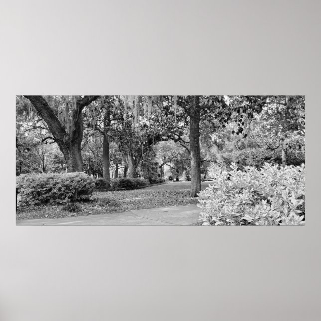 Affiche Forsyth Park, Savannah Ga (Devant)