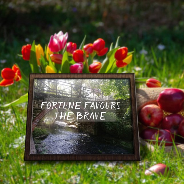 Affiche Fortune privilégie l'affiche du brave proverbe bri (Créateur téléchargé)