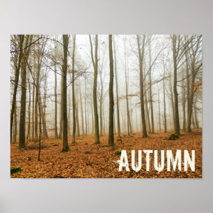 Affiche Fosse d'automne et brouillard cadeau de la saison