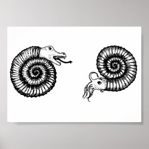Affiche Fossil : Snakestone ou Ammonite ?