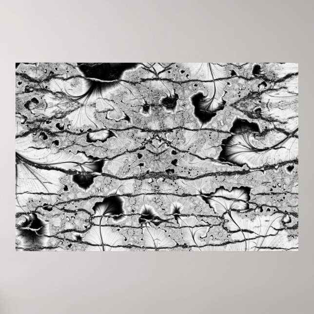 Affiche Fossile (Devant)