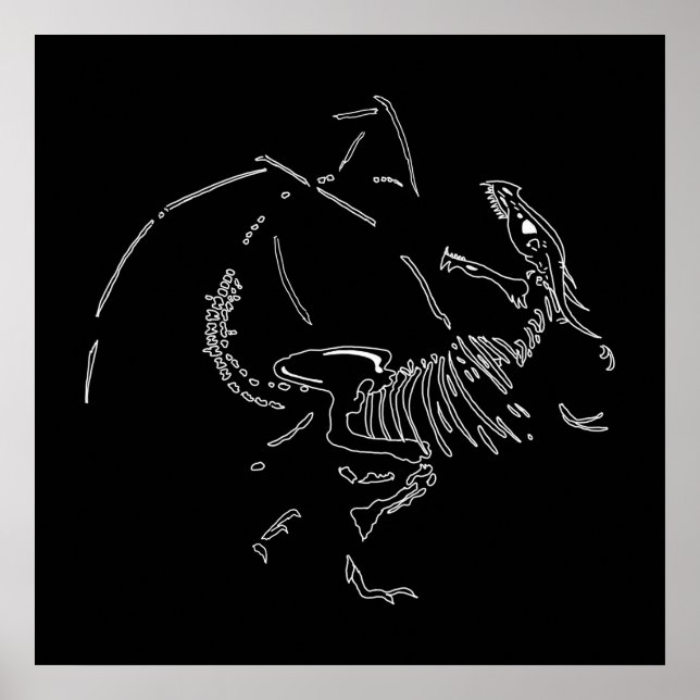 Affiche Fossiles dragons (Devant)