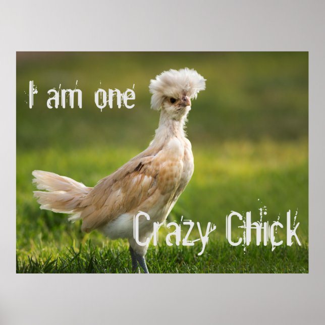 Affiche Fou Chick Funny (Devant)