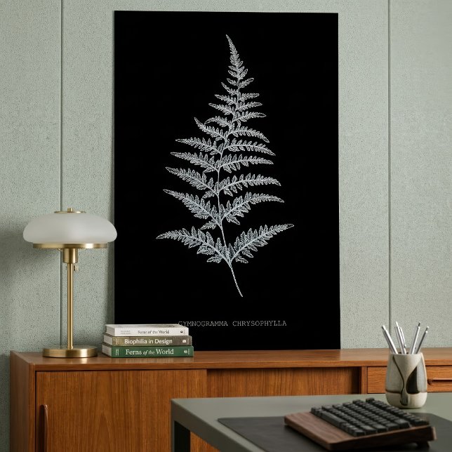 Affiche Fougère dorée, Gymnogramma Chrysophylla (Golden Fern Frond, Gymnogramma Chrysophylla. Poster)