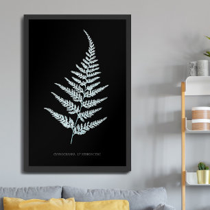 Affiche Fougère - Gymnogramma L'herminieri. Effet radiogra
