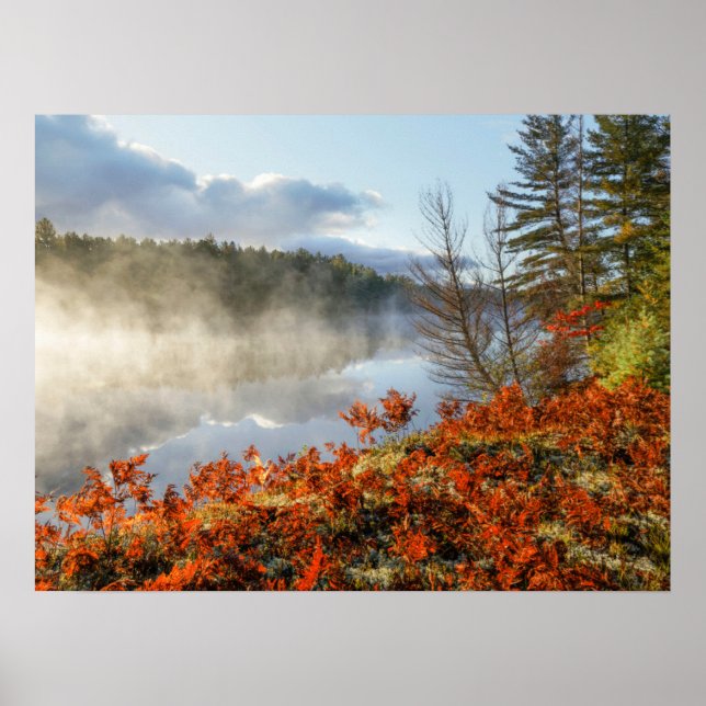 Affiche Fougères sur le rivage | Paradise, Michigan (Devant)