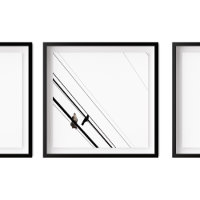 Foule et corneille sur les lignes