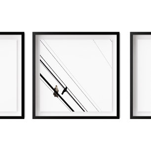 Affiche Foule et corneille sur les lignes