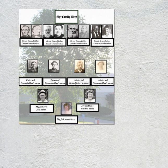 Affiche Four-Generation Chinese Elm Family Tree Photos (Créateur téléchargé)