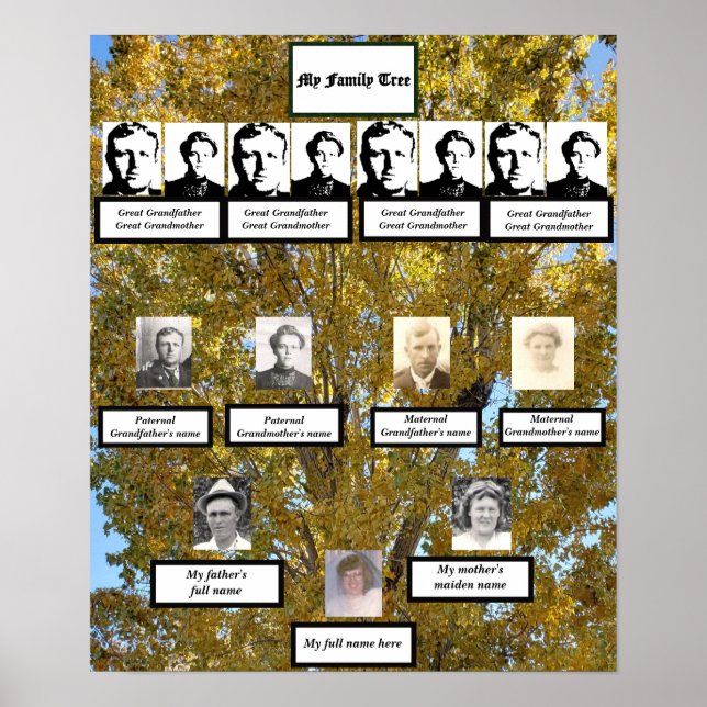 Affiche Four Generation Fall Cottonwood Family Tree Photos (Devant)