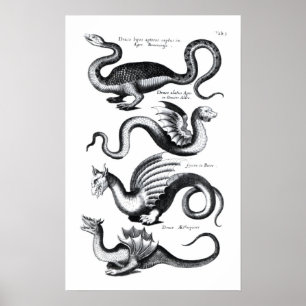 Affiche Four types of dragon