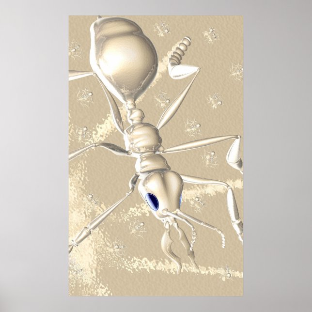 AFFICHE FOUS ! (Devant)