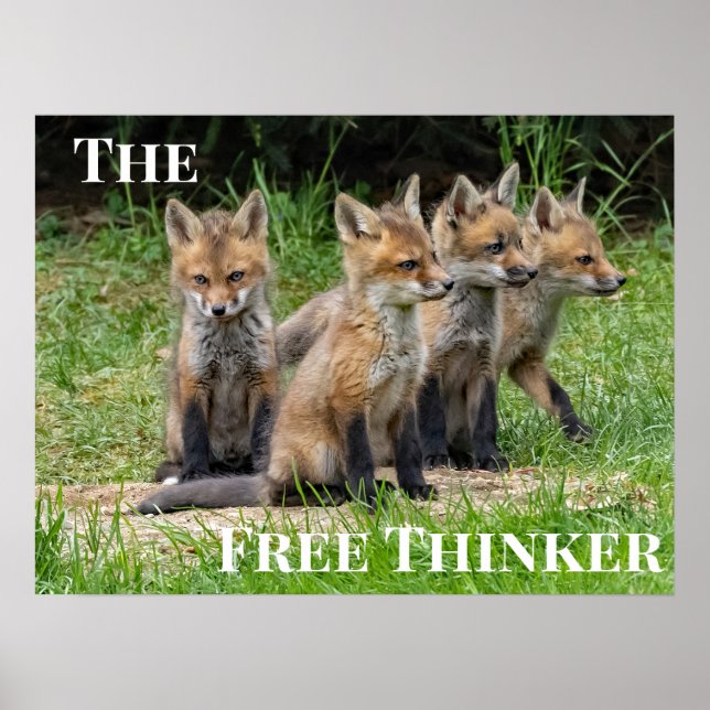 Affiche Fox Free Thinker (Devant)