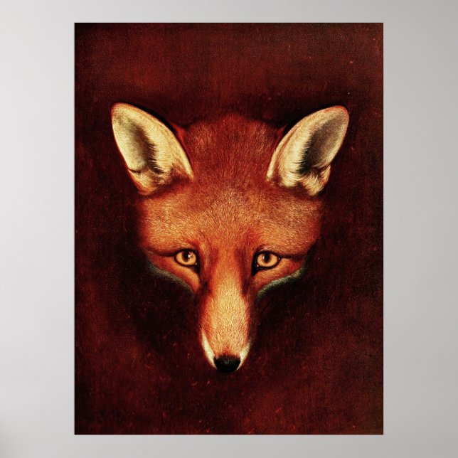 Affiche Fox Head Vintage Imprimer Antique Animal Illustrat (Devant)