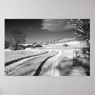 Affiche Fox Hill Farm