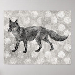 Affiche Fox - Illustration Vintage Imprimer