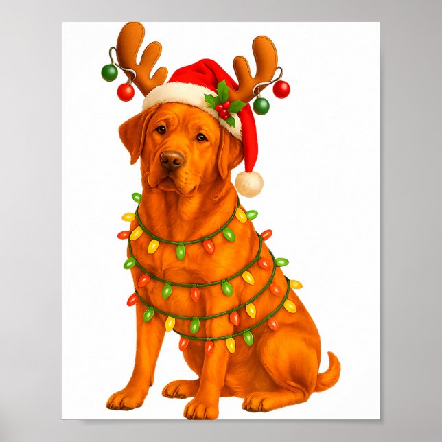 Affiche Fox Red Lab Christmas Tree Light Pajama Labrador D (Devant)