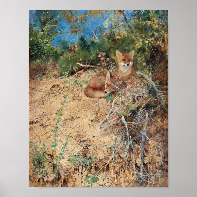 Affiche Foxes, Bruno Liljefors (Devant)