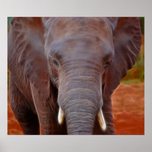 Affiche Frais d'éléphants