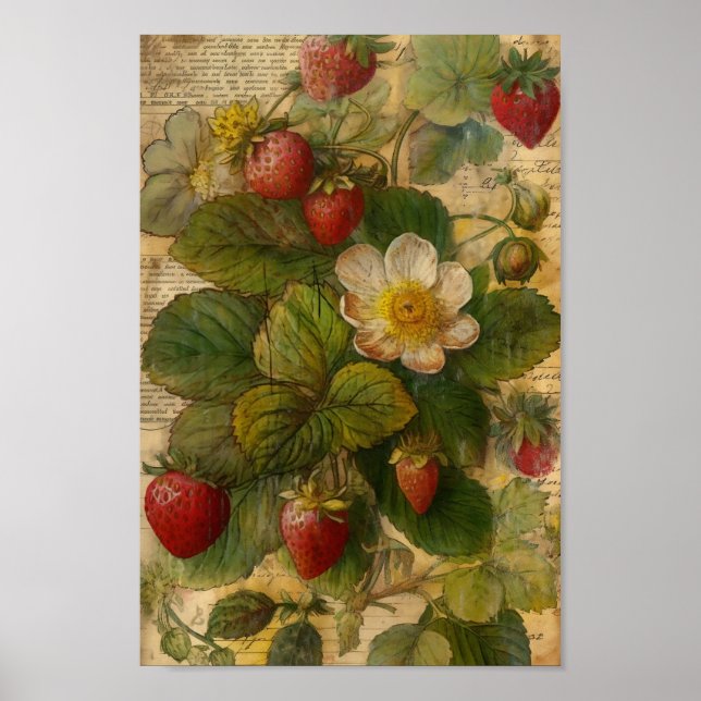 Affiche Fraises (Devant)