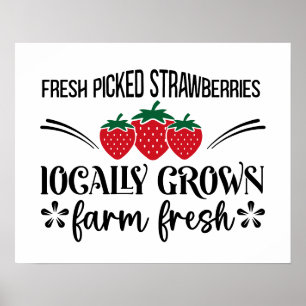 Affiche Fraises fraîches cueillies localement