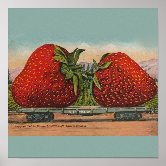 Affiche Fraises Giant Fruit Antique Fruit Amusant (Devant)