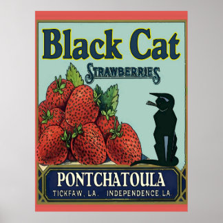Affiche Fraises Pontchatoula, Chat Vintage