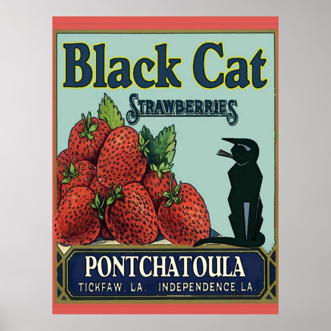 Affiche Fraises Pontchatoula, Chat Vintage (Devant)