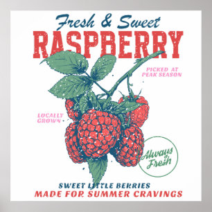 Affiche Framboises fraîches sucrées vintage cuisine