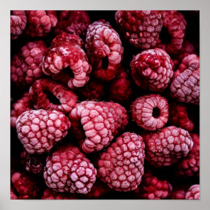Affiche Framboises rouges frais