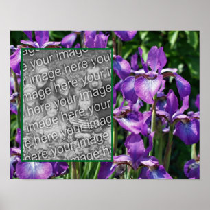 Affiche Frame Iris Fleurs Portes Violet Ajouter Votre Phot