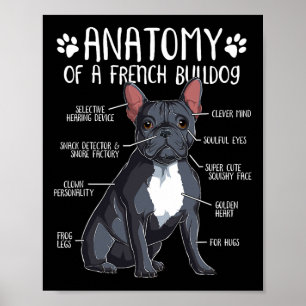 Affiche Français Bulldog Anatomie Français Amoureux des ch