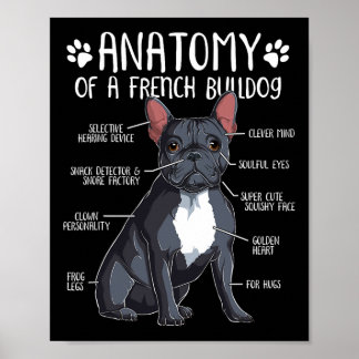 Affiche Français Bulldog Anatomie Français Amoureux des ch