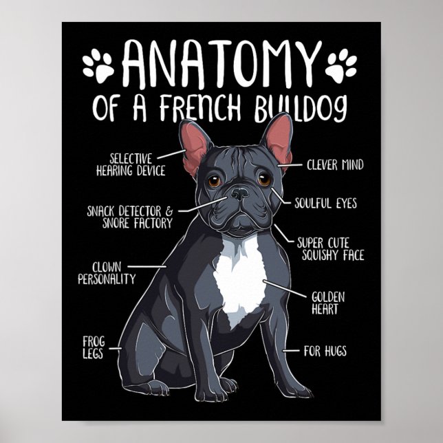 Affiche Français Bulldog Anatomie Français Amoureux des ch (Devant)