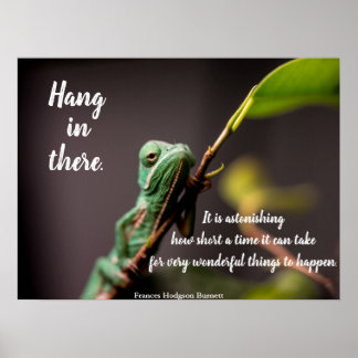 Affiche Frances Hodgson Burnett, caméléon