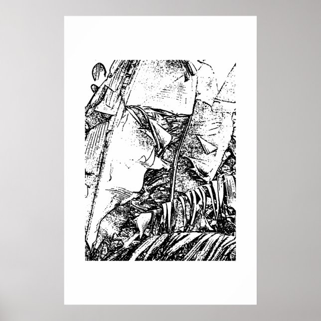 Affiche Franges bananes (Devant)