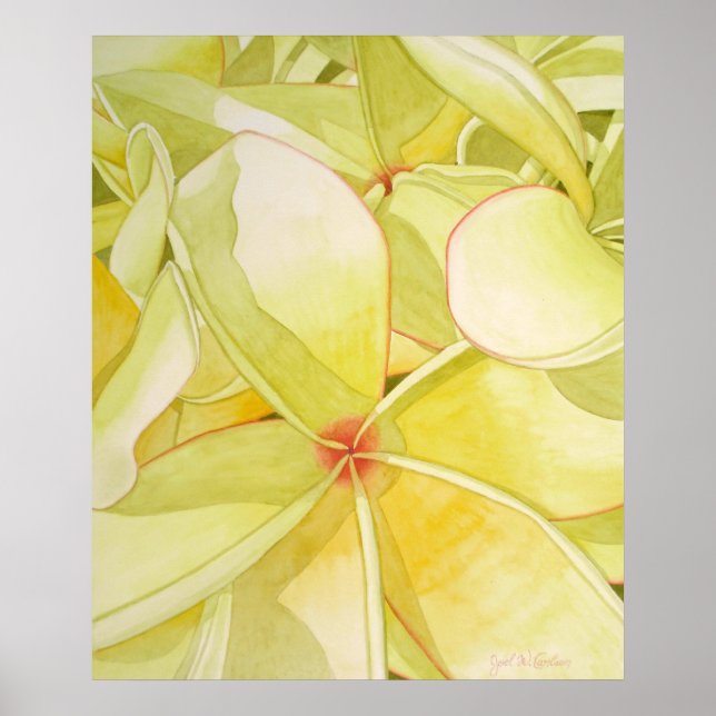Affiche Frangipani jaune citron (Devant)